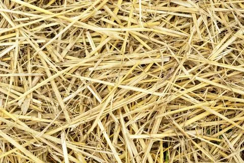 Close up of straw background Stock Photos