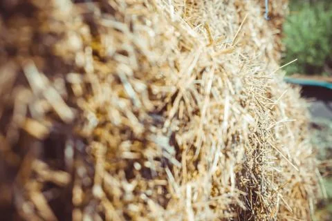 Close up of straw background texture 库存照片