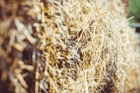Close up of straw background texture Stock Photos