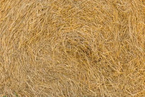Close up of straw bale Stock Photos