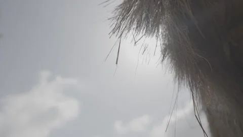 Close up of straw roof Video stock 244737405