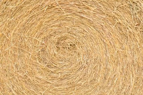 Close up straw texture Stock Photos