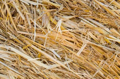 Close up of straw texture Stock Photos