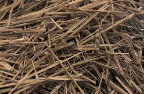 Close up straw texture Stock Photos