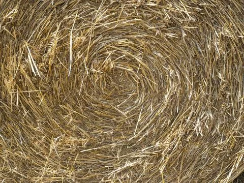 Close-up of straw texture. rolled up in a circle of hay. Concept of agricultu Stock Photos