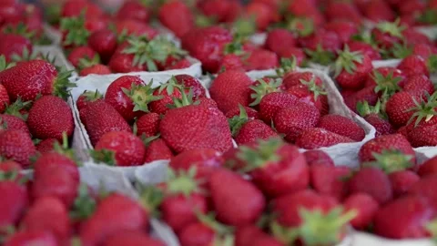 Close up strawberries Stock Footage 203891443