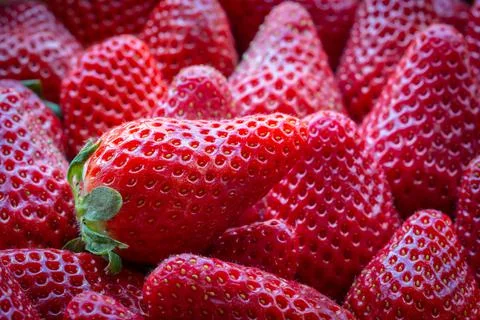 Close up of strawberries macro image with bright colors Stock Photos