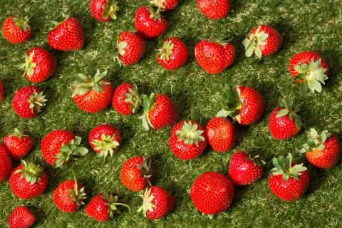 Close up of strawberries Foto stock