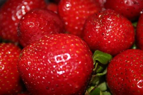 Close-up strawberries Stock Photos