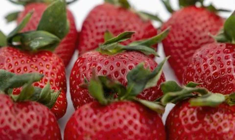 A close up strawberry background Stock Photos