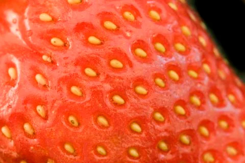 Close up strawberry Stock Photos