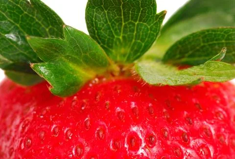 Close-up of a strawberry Stock Photos