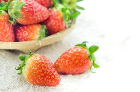 Close up strawberry Stock-Fotos