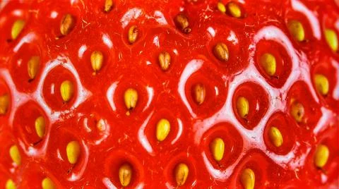 Close up strawberry surface with visible seeds showing natural fruit texture Stock Photos