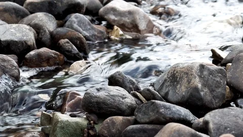 Close up of a stream with clean cold water and grey stones. Action. Transparent Stock Footage 116245480