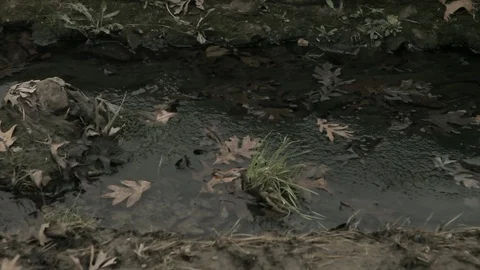 Close up of a stream in the Fall Stock-Footage 91840783