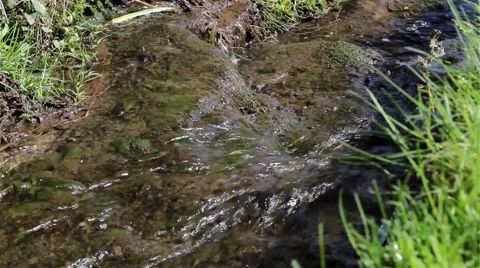 Close Up Stream Flowing Over Mossy Stone Mini Water Fall Past Grass Bank Stock-Footage 49069927