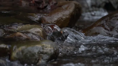 Close up of Stream Flowing  over Rocks Video stock 260709419