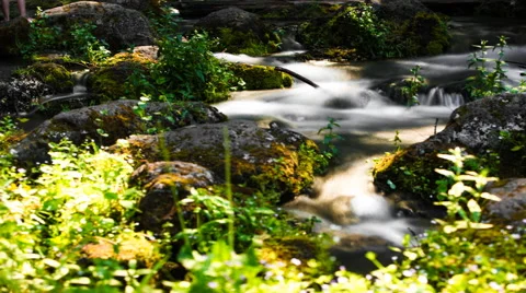 Close-up of stream flowing through Black Butte, Oregon, United Sates Stock Footage 51482585