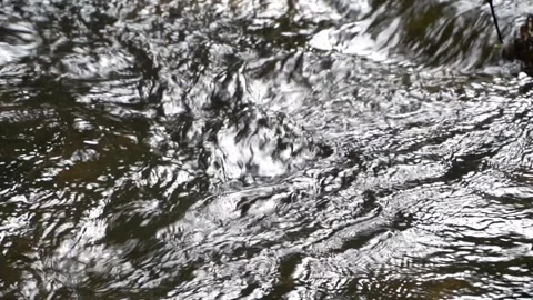 Close-up of a stream flowing through clear and beautiful rocks.in Thailand Stock Footage 311034809