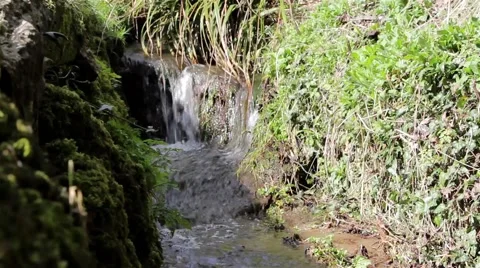 Close Up Stream Flows Down Mini Water Falls Past Grass Bank (with Audio) 動画素材 49069928