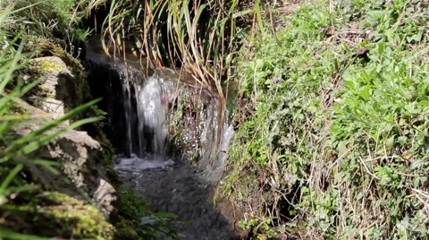 Close Up Stream Flows Down Mini Water Falls Past Grass Bank Stock-Footage 49069937