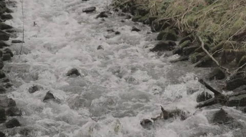 Close Up Stream 動画素材 51346054