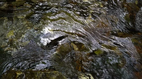 Close-up Stream Vídeo Stock 108076964