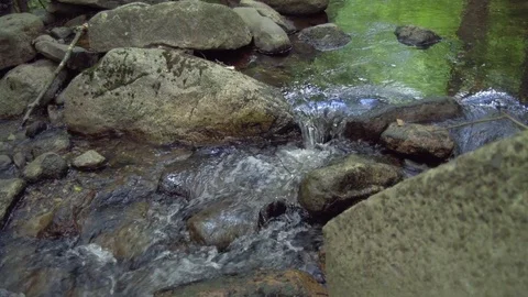 Close Up of Stream in Forest Video stock 84146756