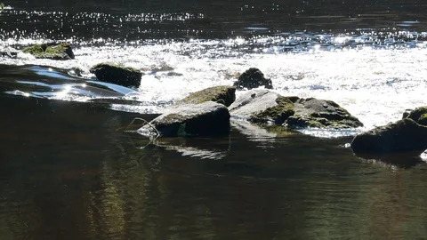 Close up of stream running over rocks in summer with sun glinting on water Stock Footage 113073702