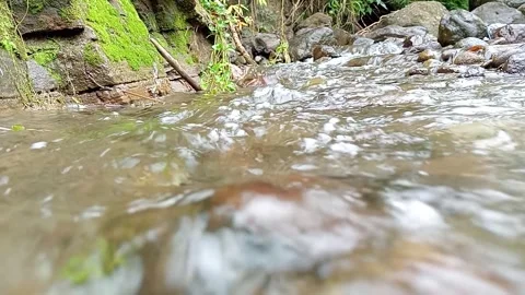 Close-Up of Stream Water Flowing Over Rocks – Nature Detail Stock Footage 330548166
