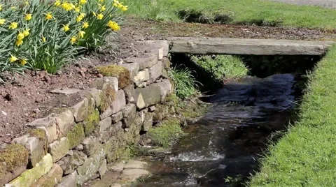 Close Up Stream Water Flowing Past Grass Bank, Daffodil Flowers &amp; Old Stone Wall Video stock 49069939