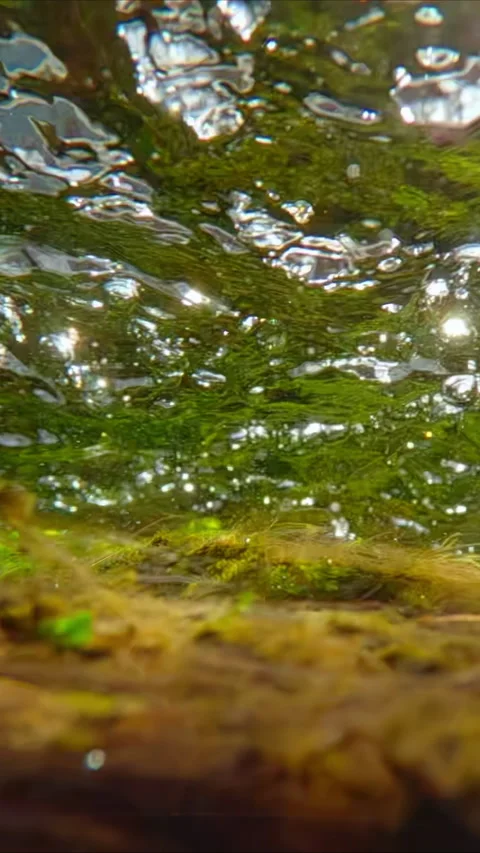 Close-up of stream of water with many air bubbles rushing over bottom of Stock Footage 330594471