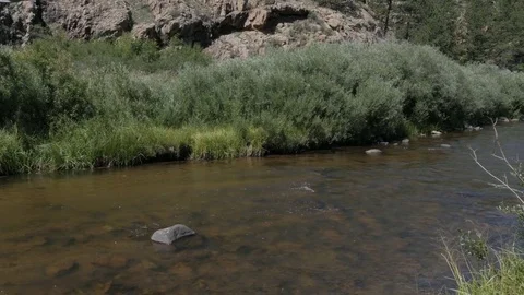 Close Up of Stream/River in Lake George CO Stock Footage 85213939
