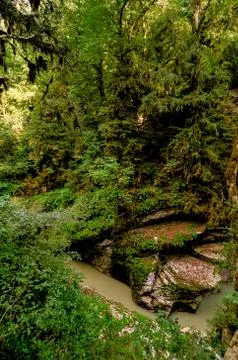 Close-up streams of water between mountain stones. Beautiful mountain river s Stock Photos