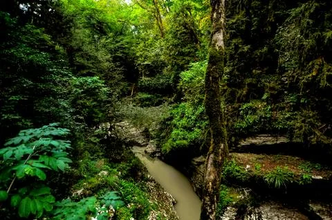 Close-up streams of water between mountain stones. Beautiful mountain river s Stock Photos