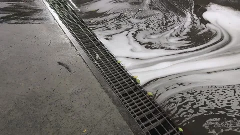 Close Up of Street Drain with Soapy Foam Water Flowing on Wet Asphalt Stock Footage 341910987