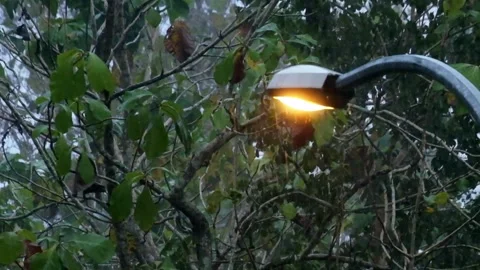 Close up of street lights lit during heavy rain and storm Stock Footage 321322764