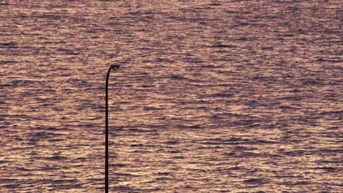 Close up of a streetlight over shimmering sunset sea. 動画素材 345425532