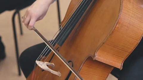 Close-up of string instruments elegant curves and craftsmanship. Instruments Stock Footage 305549370