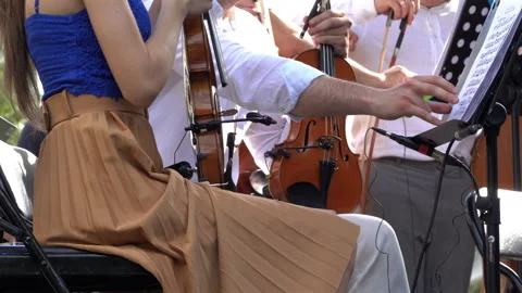 Close up of a string quartet getting ready to play outside Stock Footage 277800772