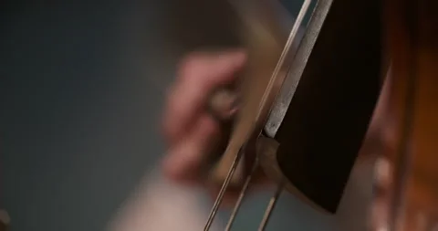 Close-up of a stringed instrument body and strings Stock Footage 336471021