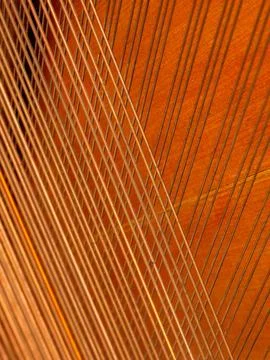 A close up of a stringed instrument, with the strings visible in detail Stock Photos