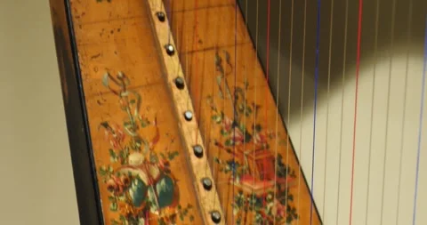 Close-Up of a Stringed Musical Instrument Stock Footage 262394633