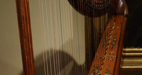 Close-Up of a Stringed Musical Instrument Stock Footage 262394755