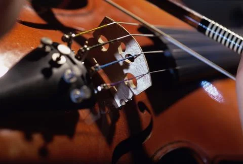 Close up of the strings on a violin Foto stock