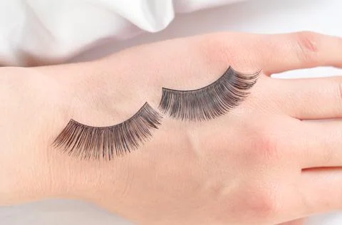 Close up of strip dramatic lashes for gluing on hand Stock Photos