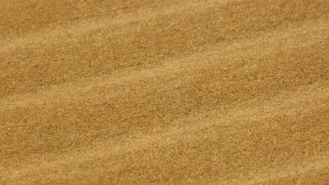 Close up Strong wind blows sand in sandy desert Video stock 158424488