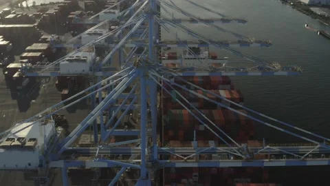 Close Up Structure Of Container Cranes At The Terminal In Port Of Tacoma Stock Footage 198168452