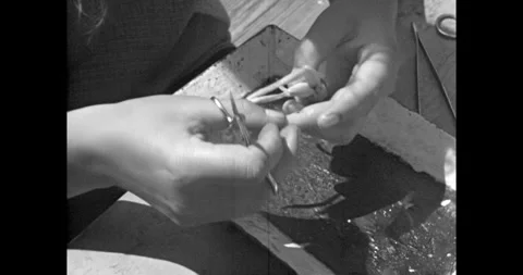 Close-up of student hands performing biological research on plant samples Stock-Footage 333205491